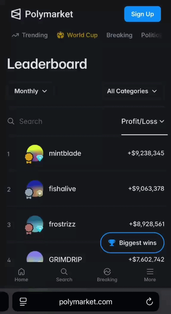 Polymarket doesn't allow ENS name as predictor identifier in the leaderboard feature