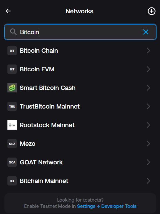 Zerion doesn't have context of non-EVM chain Bitcoin